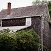 Jackson_Pollock_0002.jpg