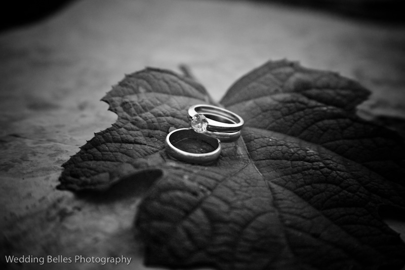 Russell Wedding Rings - Wedding Belles Photo