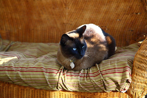 5D Mark2 Test Photos