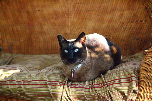 5D Mark2 Test Photos