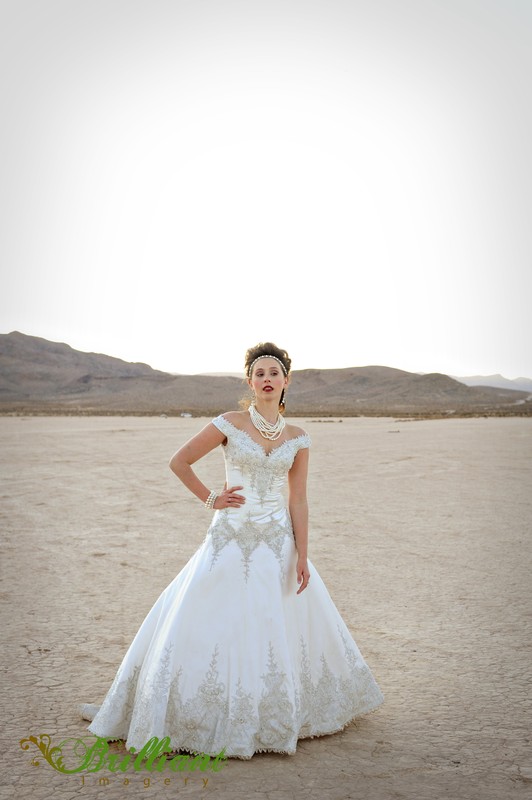 las_vegas_dry_lake_bed_trash_the_dress