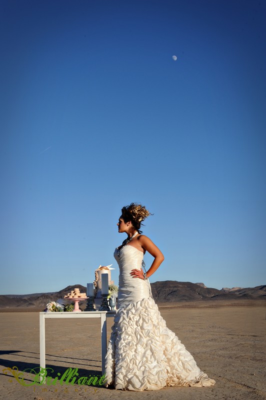 Trash_the_dress_dry_lake_bed